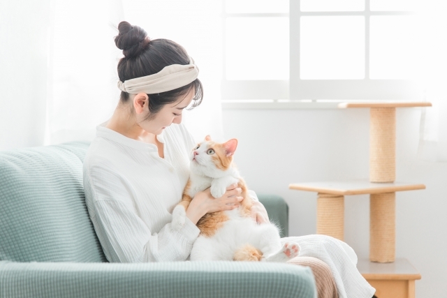 イメージ画像